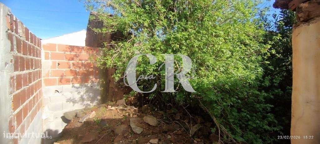 Moradia T3 com vários anexos, terreno e poço-52