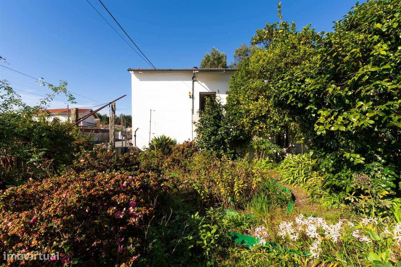 Moradia Isolada T2 Venda em Lobão, Gião, Louredo e Guisande,Santa Mari-39