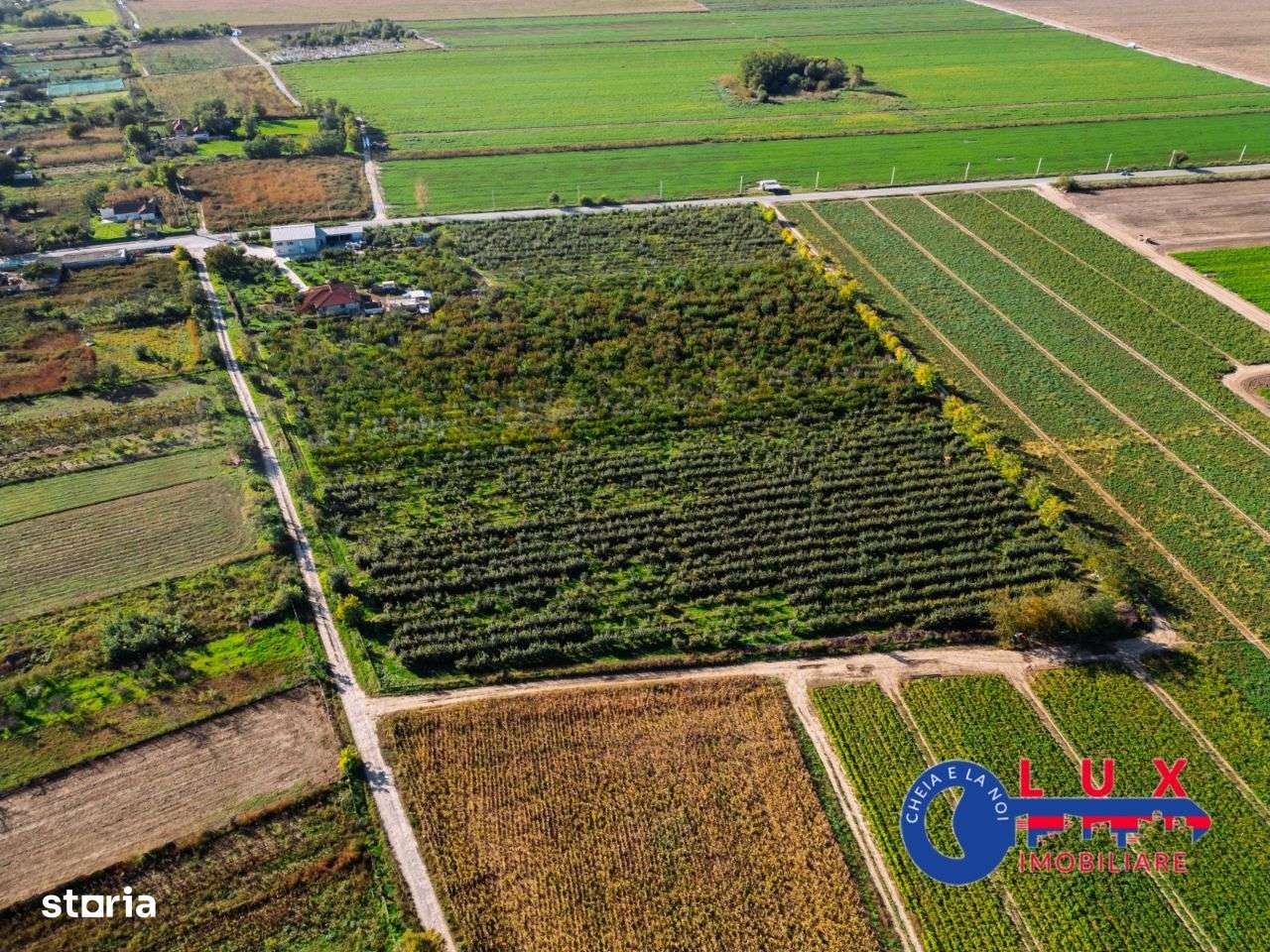 ID 7785 Livada Sabangia DE VÂNZARE - EXCLUSIVITATE LUX IMOBILIARE - Imagine principală: 4/20