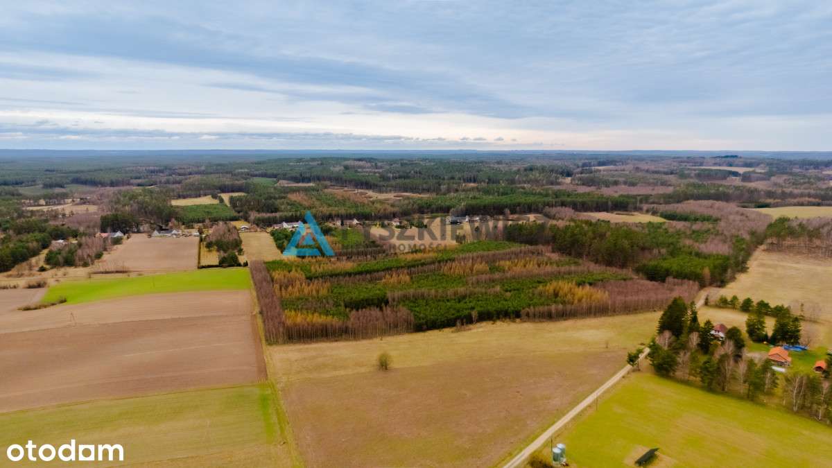 Sprzedaż Działek Siedliskowych w Gumieńcu - Pełny obrazek: 4/18