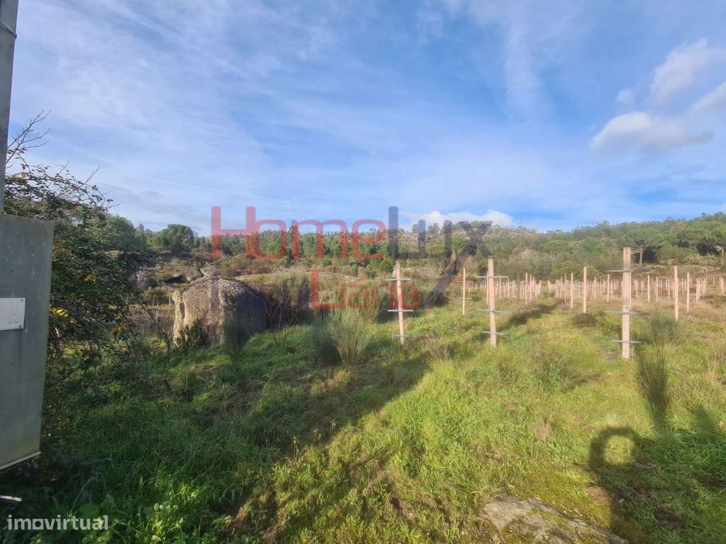 Quinta Agrícola do Dão para venda - Grande imagem: 4/39