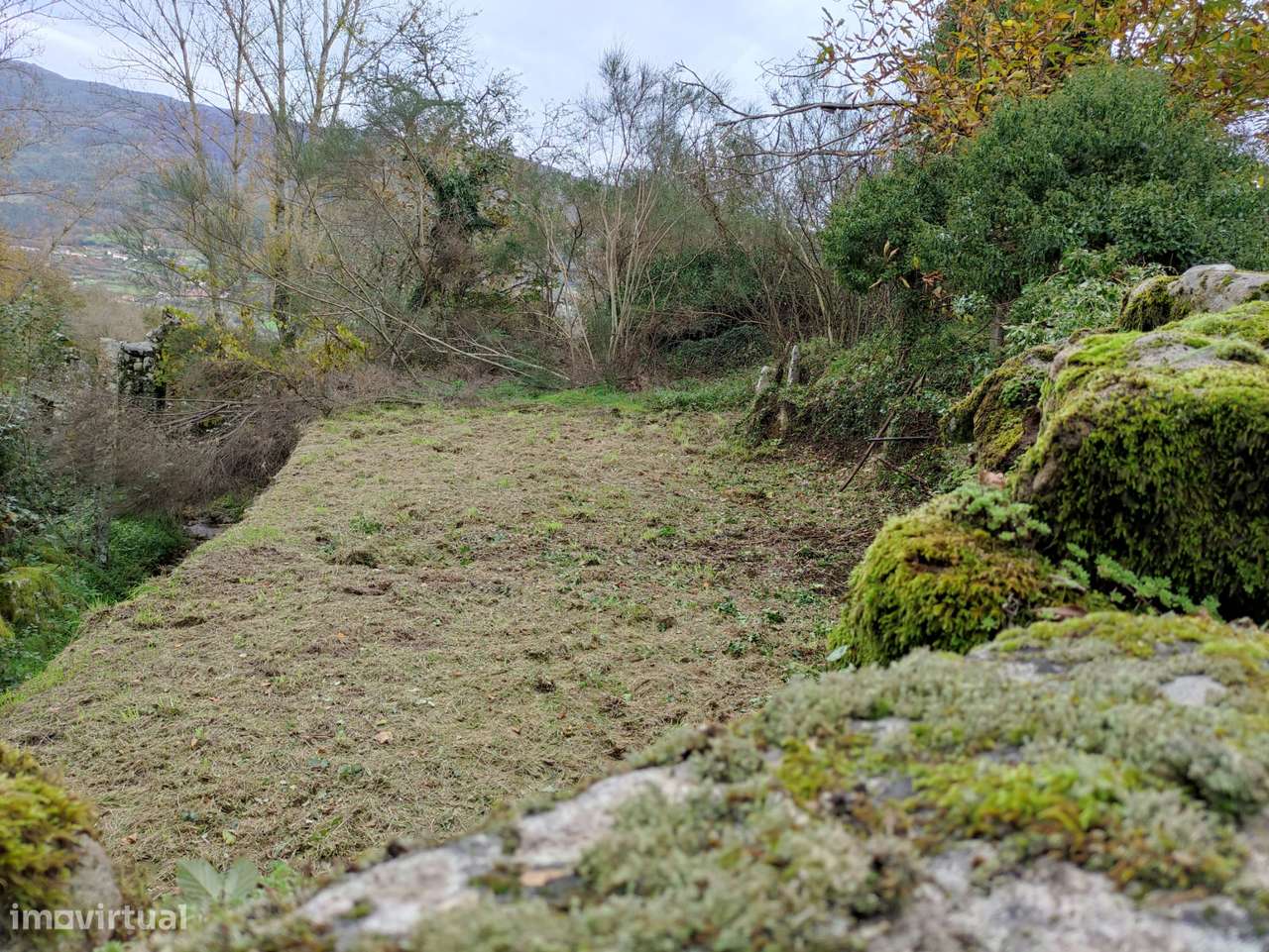 Moradia  Venda em Campelo e Ovil,Baião - Grande imagem: 4/12