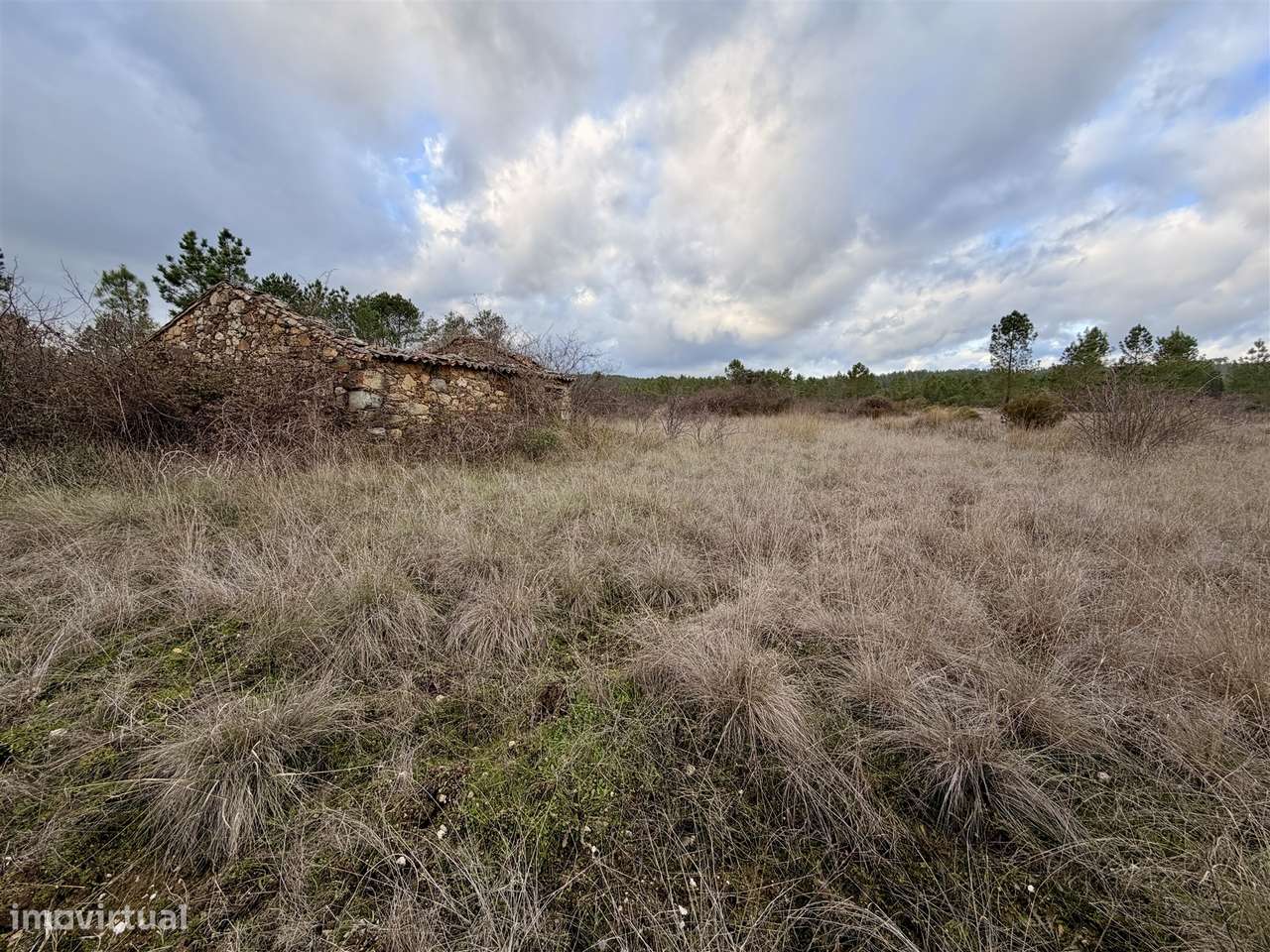 Quinta T0 Venda em Sarzedas,Castelo Branco-17