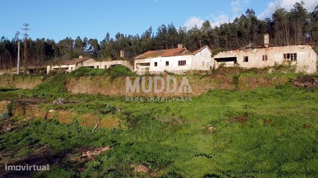 Quinta com 2 hectares para recuperar junto ao Rio Caima-8