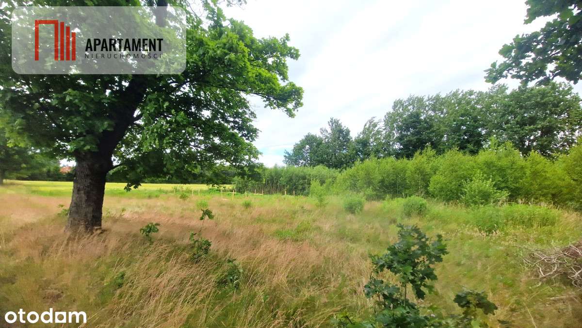 Tylko u Nas! Działka o jakiej marzysz w Krojantach - Pełny obrazek: 5/5