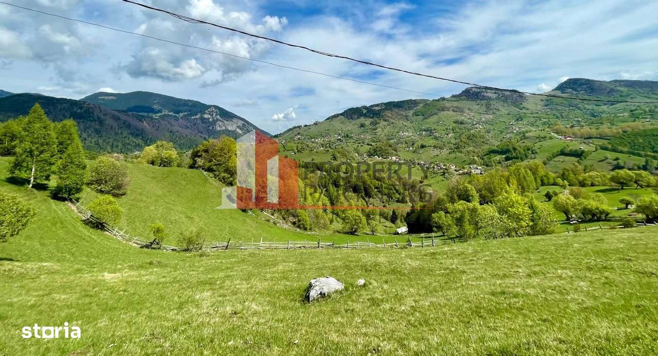 Teren in sat Pestera, comuna Moeciu. - Imagine principală: 4/13