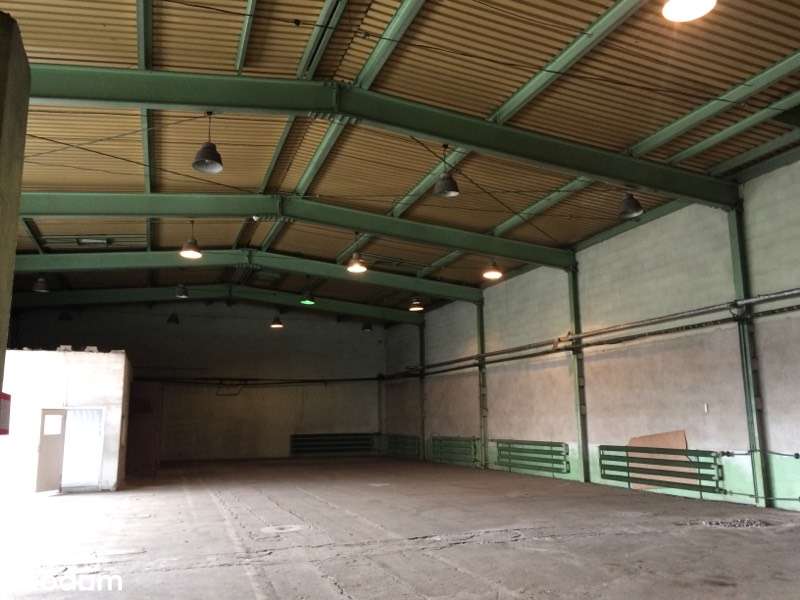 hale: 730m2, 930 m2, 185m2 i biura - bezpośrednio od właściciela - Pełny obrazek: 5/18