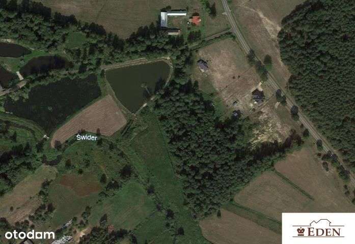 Działka, 29 617 m², Zgórznica-5