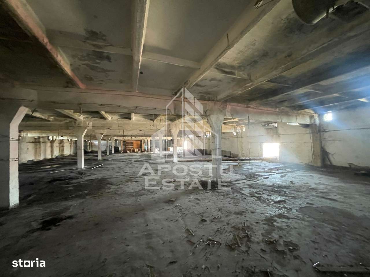 Hala P+E1 3000 mp utili, teren 4330, Dumbravita - Imagine principală: 5/5