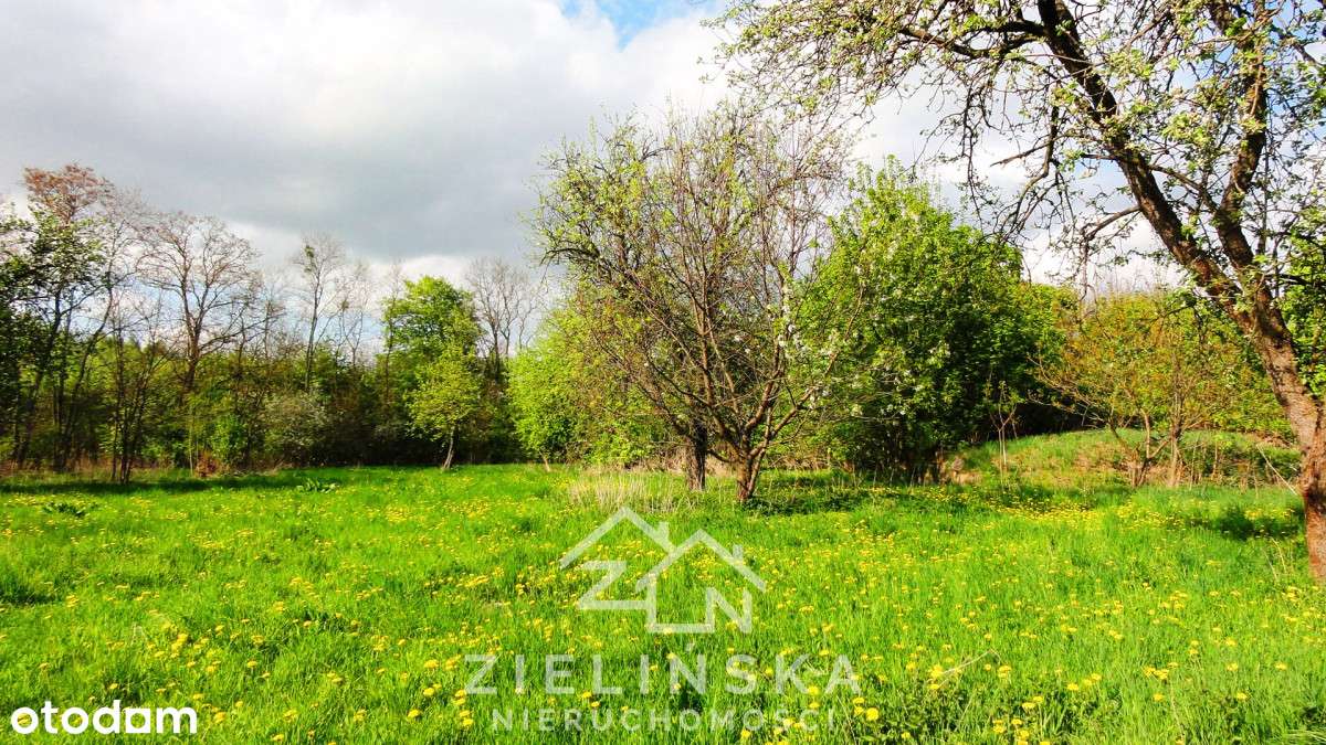 Grunty pod zabudowę lub fotowoltaikę – 10 ha,-4