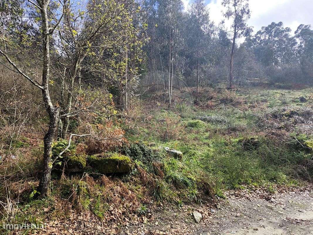 Terreno  para venda - Grande imagem: 1/11