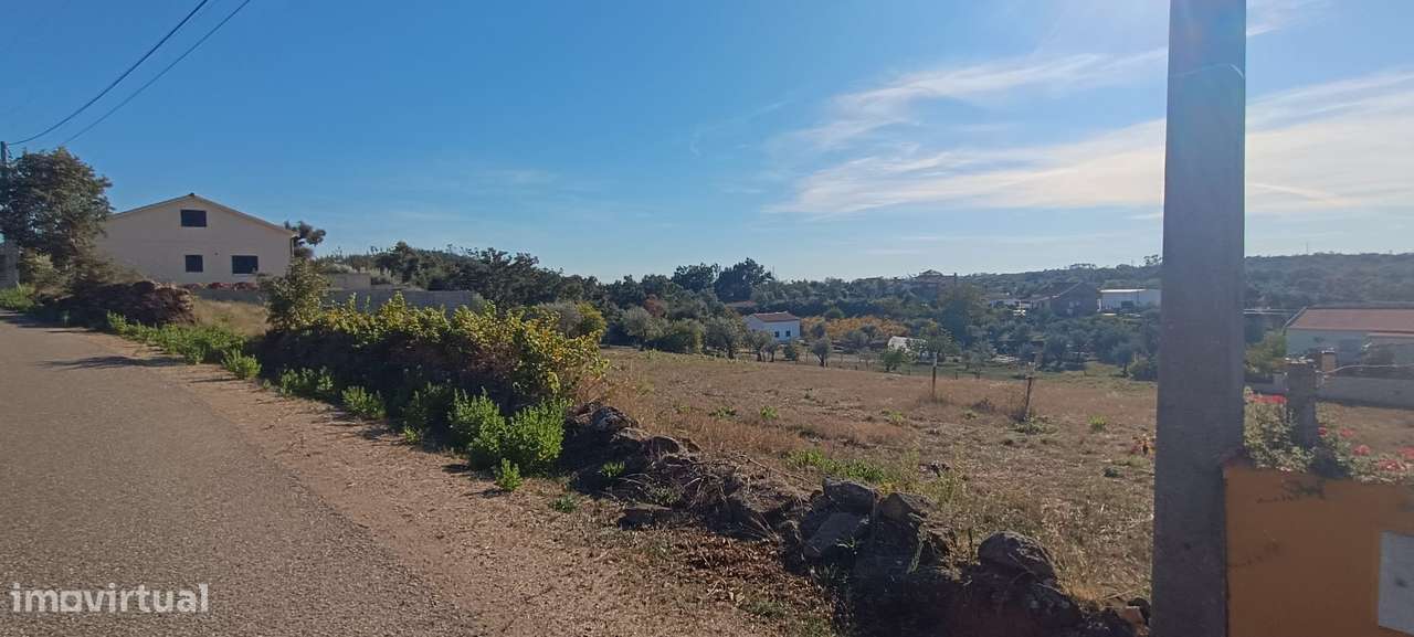 Terreno rústico com 3.700 m² – A 7 km de Tomar-9
