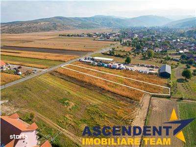 2.460 mp, teren intravilan, acces facil, Ghelinta, Covasna - Imagine principală: 5/7
