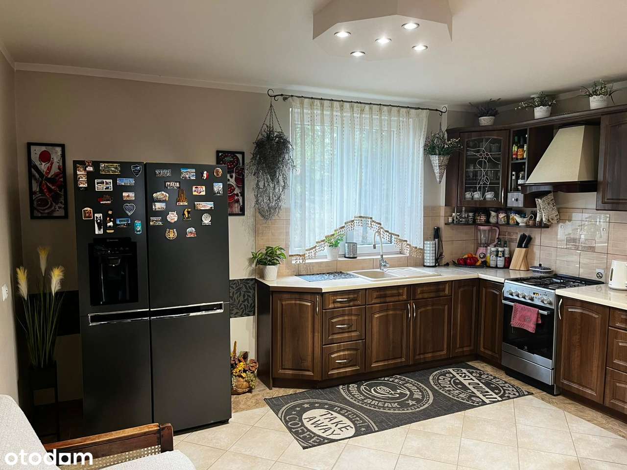 Sprzedam dom/siedlisko - Pełny obrazek: 5/14