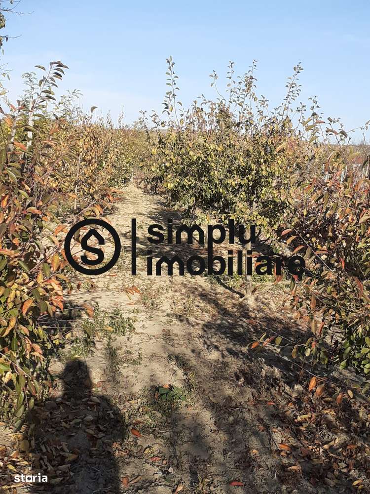 Casa Bradesti, teren 1239 mp - 29 995 Euro - Imagine principală: 3/5