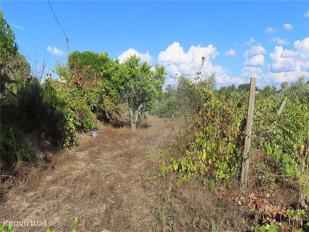 Quinta  para venda-38