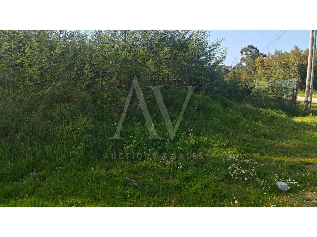 Terreno para construção - MANGUALDE - |LEILÃO ELETRÓNICO| FIM 30*ABR - Grande imagem: 5/11