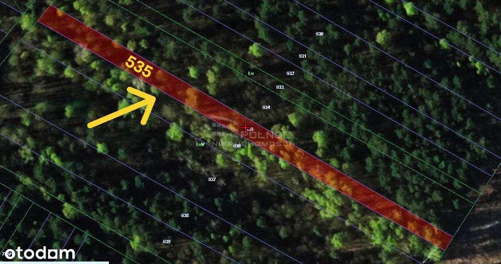 6 działek leśnych – Gertrudów, gm. Gomunice - Pełny obrazek: 4/6