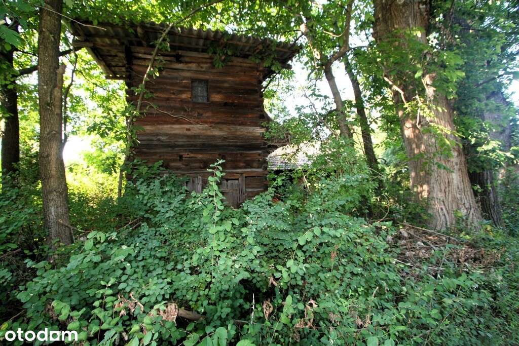 Niezbędna wyobraźnia, kasa i odrobina szaleństwa-7