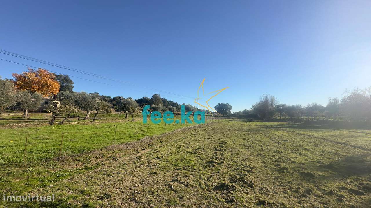 Quinta em Escalos de Baixo-14