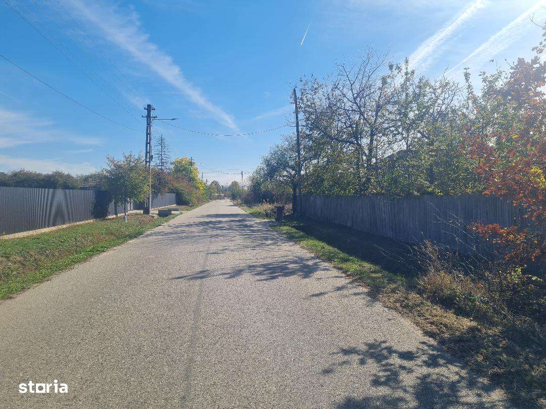 Teren intravilan Cocu Arges-1