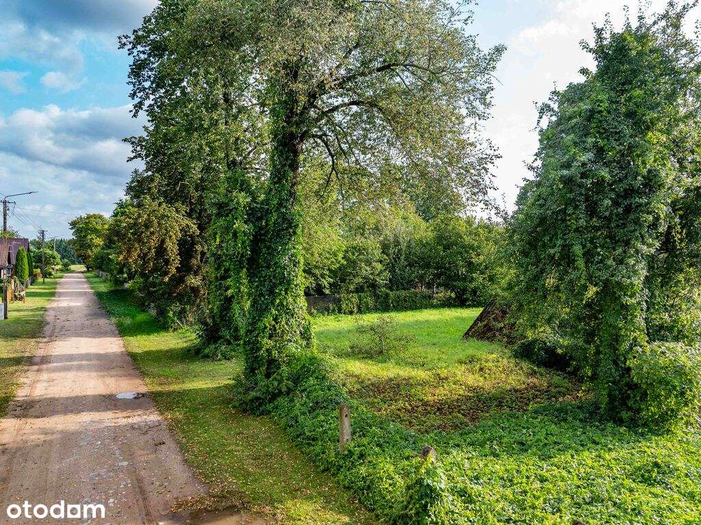 Działka w okolicy Krynek, Ostrów Południowy-1