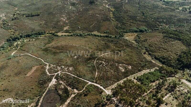 Quinta / Seia, Paranhos - Grande imagem: 5/16