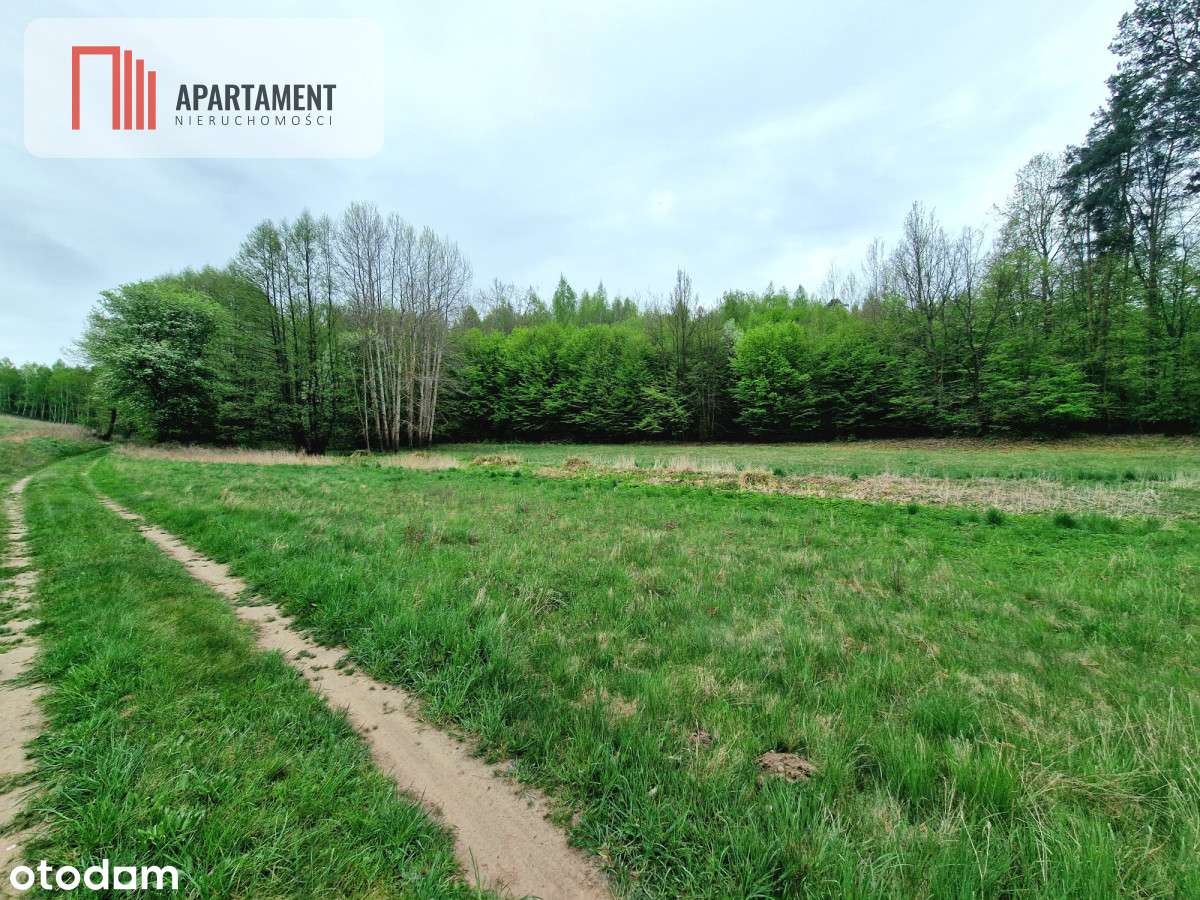 Gospodarstwo w głuszy! Las! Rzeka! - Pełny obrazek: 4/9