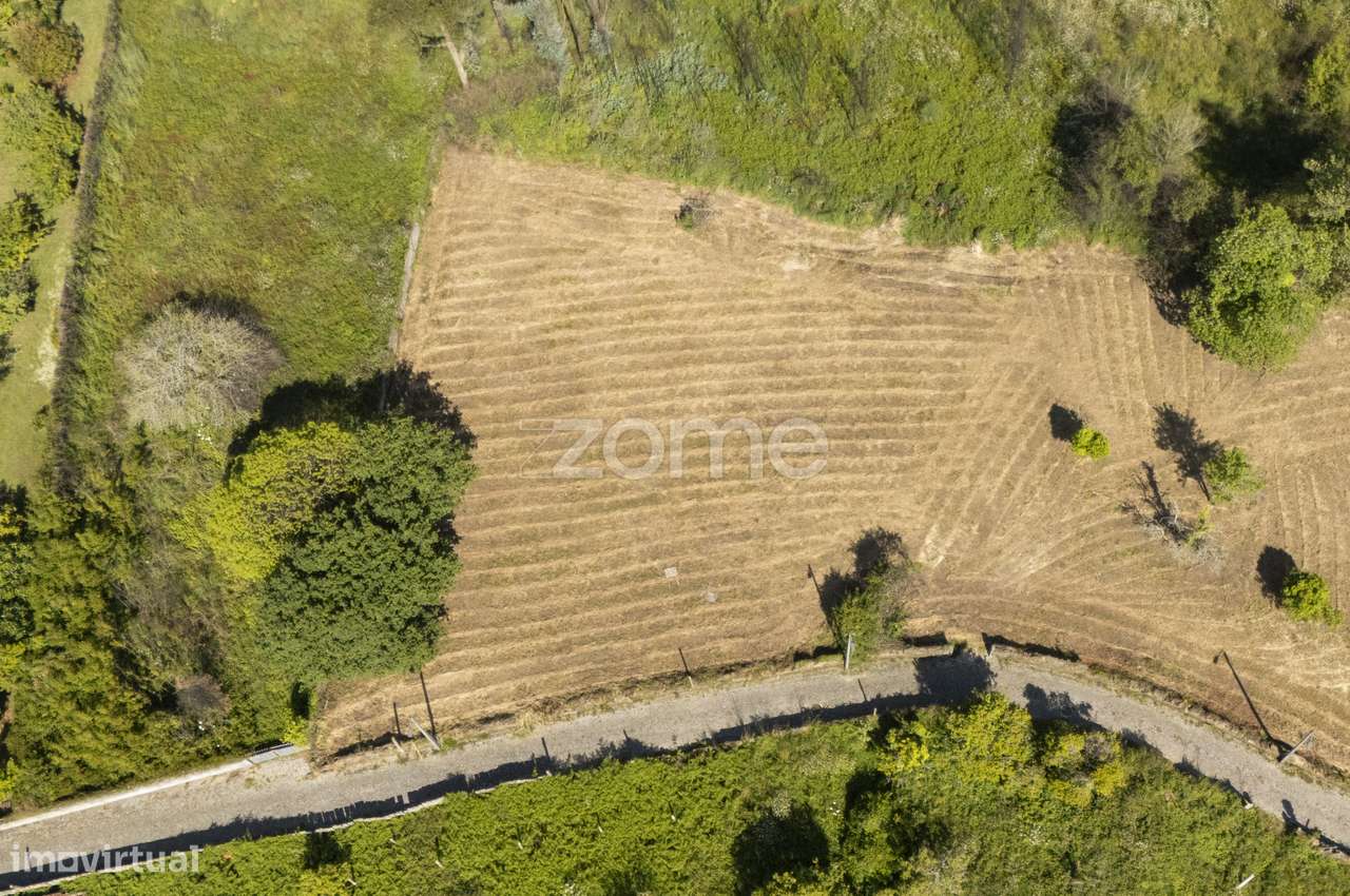 Terreno Urbano 800m2 com Projeto para moradia térrea, em Grijó - Grande imagem: 5/15