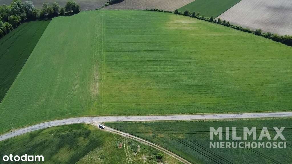 Na sprzedaż działka inwestycyjna 6,57 ha – okolice - Pełny obrazek: 4/13