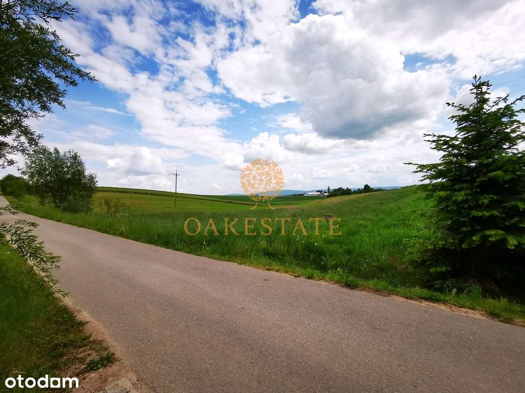 Sprzedam działkę 9800m2 Śniadka gm. Bodzentyn - Pełny obrazek: 4/10