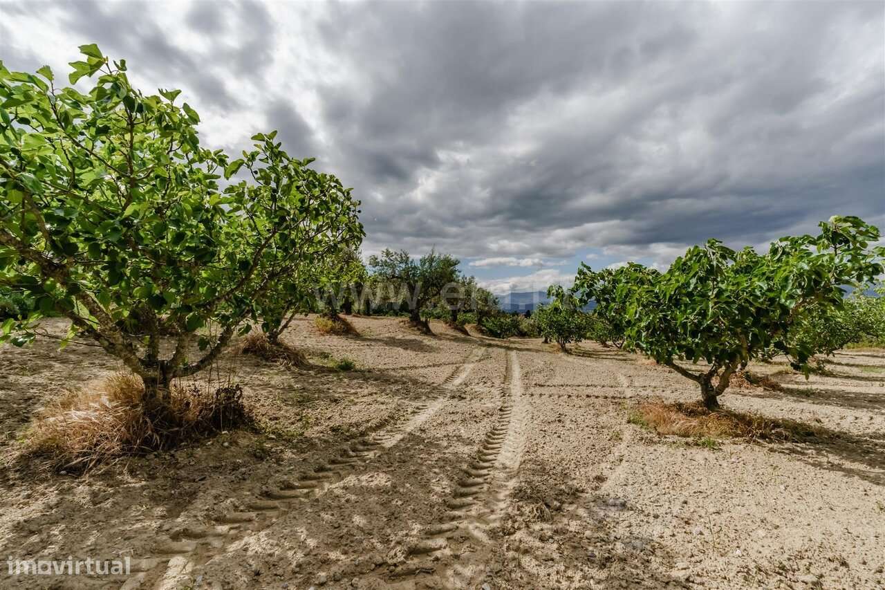 Terreno / Fundão, Fundão-6
