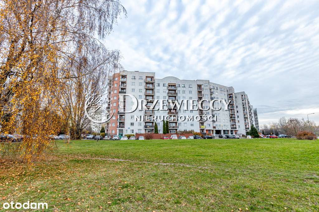 Studio niesamowity widok las – obok parku-15