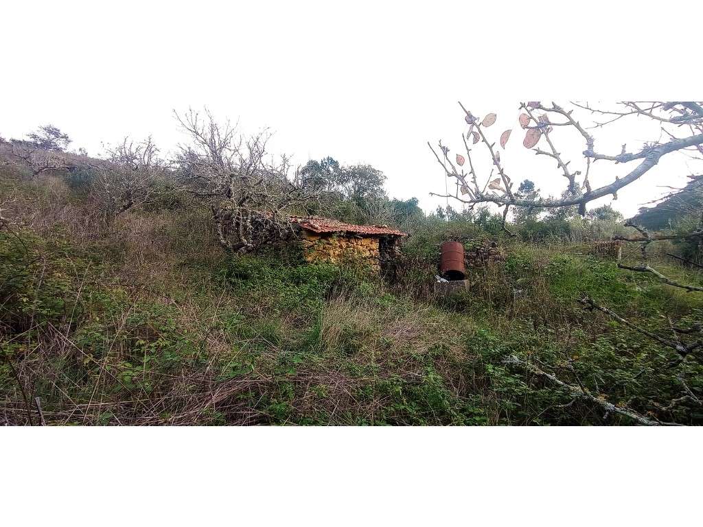 Quintinha a 10km das praias em Cheleiros - Grande imagem: 4/20