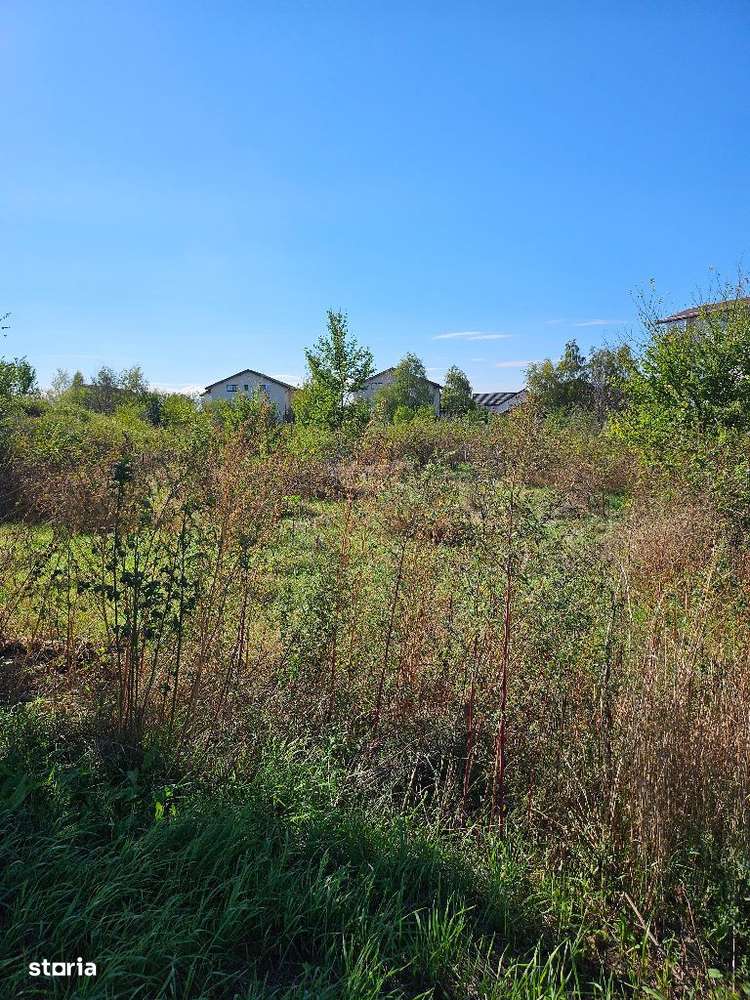 Comuna 1 Decembrie, Jud. Ilfov, teren Strada Sperantei - Imagine principală: 3/4