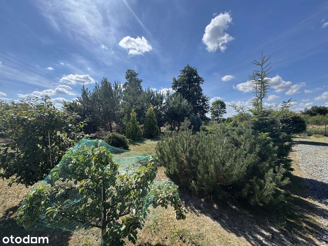Działka w Kępnie - ogrodzona, dojazd asfalt, prąd na działce-10