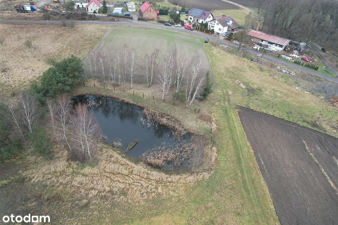 Działka 5390 m² z warunkami zabudowy i własnym stawem – blisko przy S5 - Pełny obrazek: 4/8
