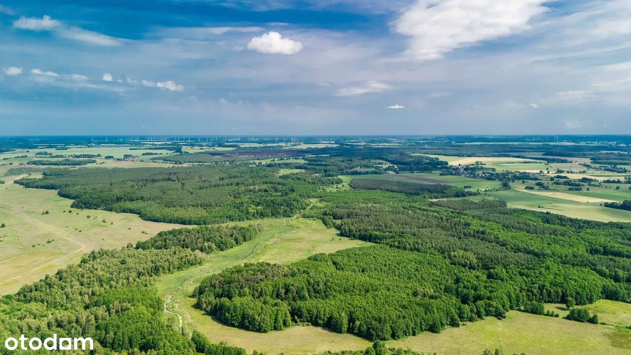 Działki blisko Gryfic z warunkami zabudowy, super cena!-4