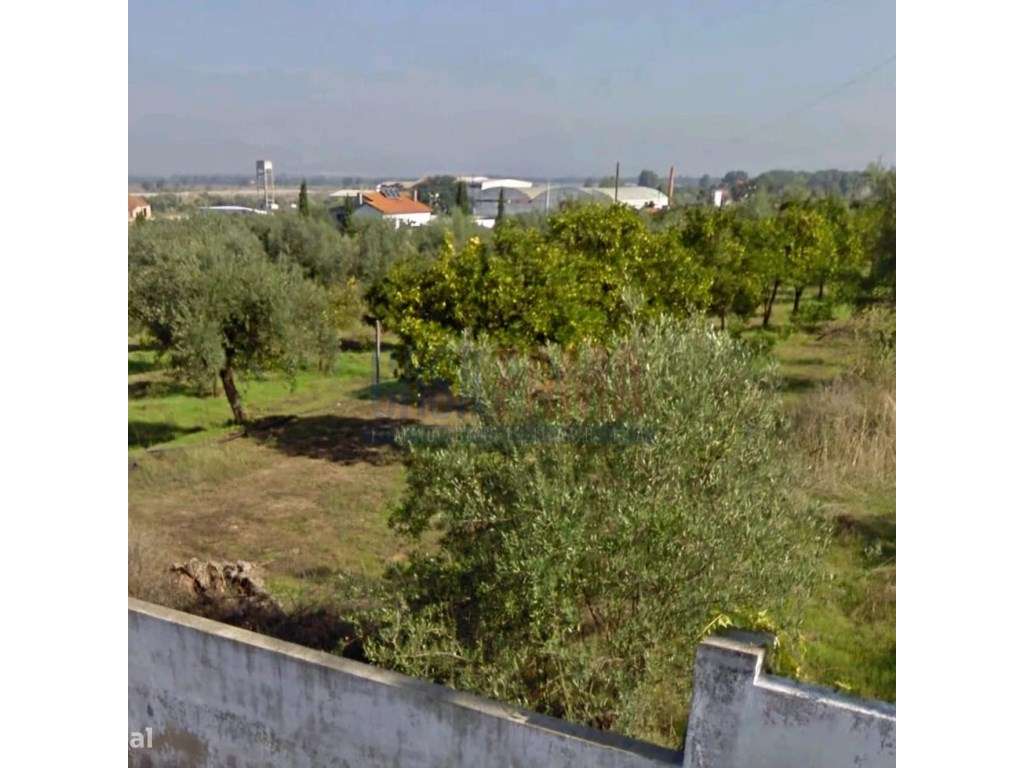 Terreno urbano na chamusca - Santarém - Grande imagem: 4/30