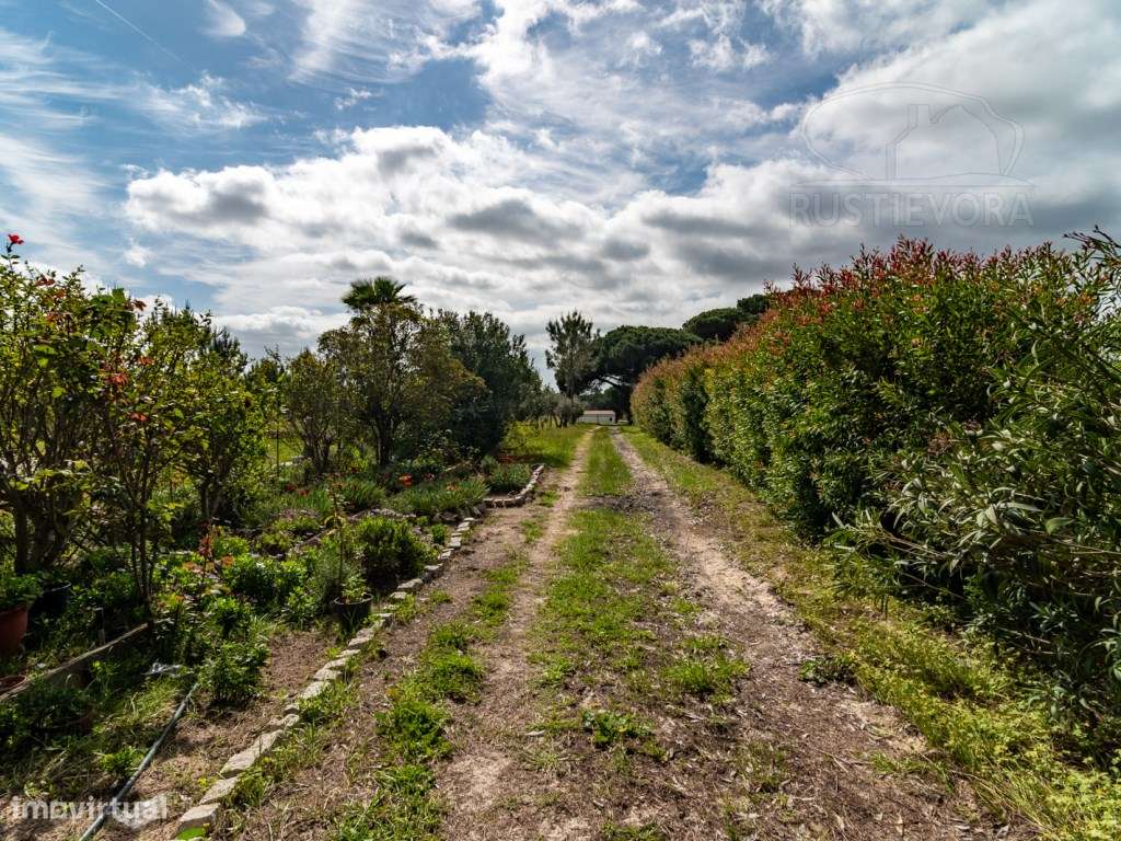 Herdade com 37 Ha com 6 Moradias para Habitação e/ou Turismo | Alcá...-9