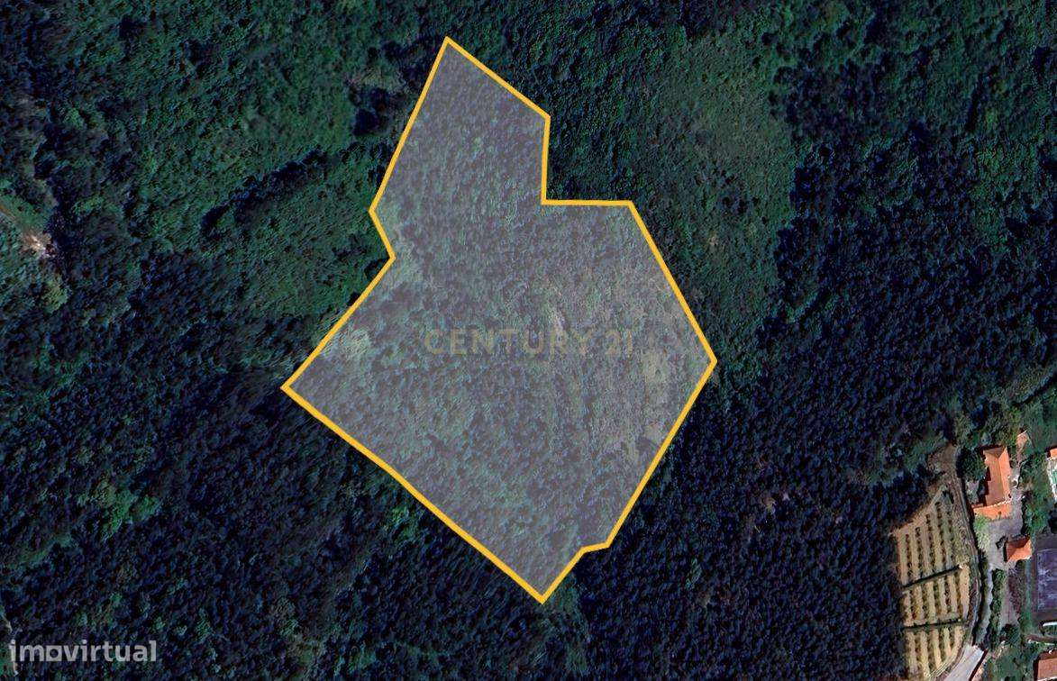 Terreno Rústico -  Mafra (Poço da Serra) - Grande imagem: 4/4