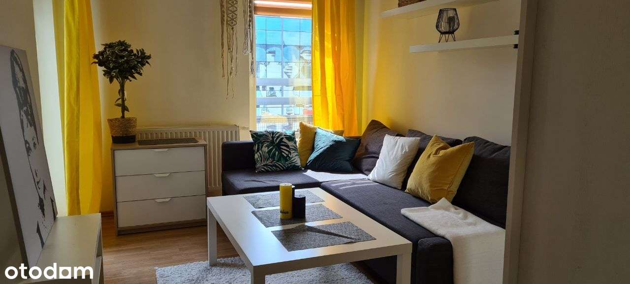 Bezpośrednio mieszkanie 54 m² ul. Zdrowa - Widok 5