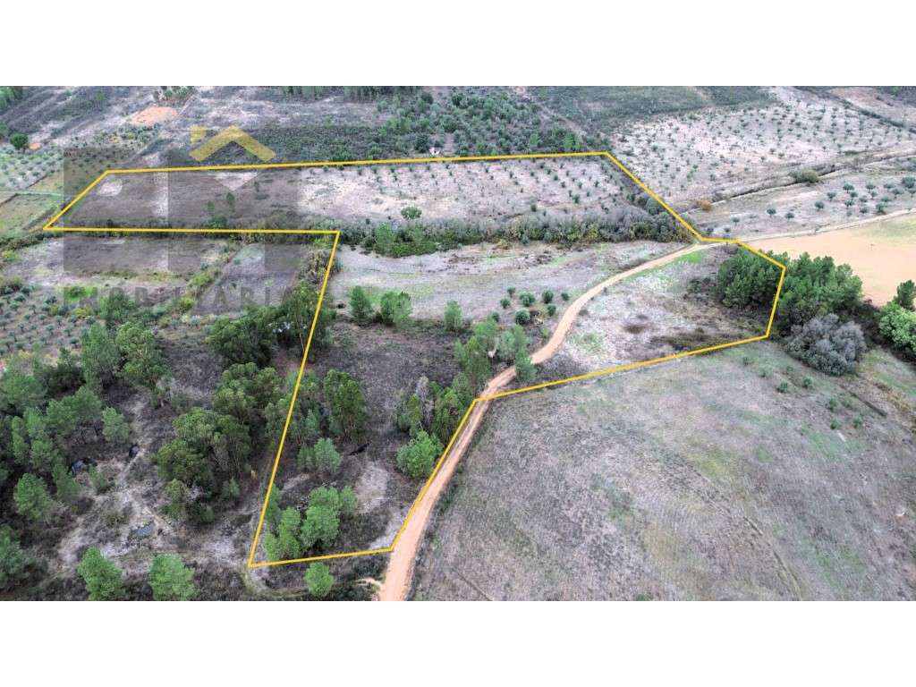 Quinta com 45.360m2 para venda em Freixial do Campo! - Grande imagem: 2/21