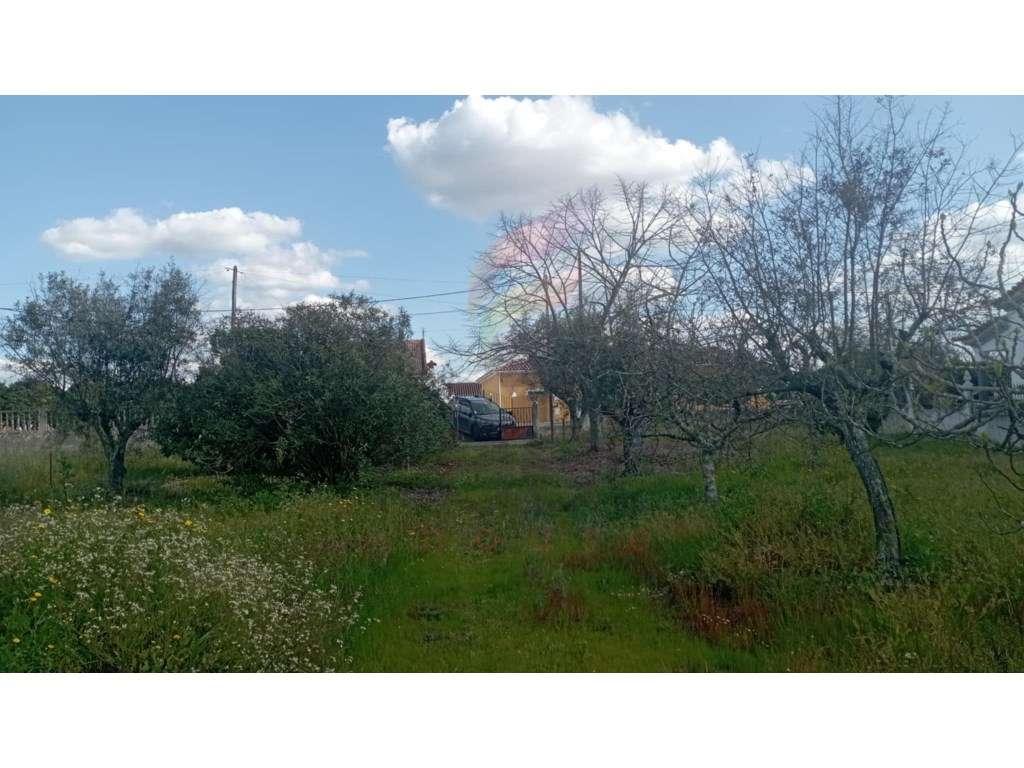 Terreno para construção - Grande imagem: 4/16