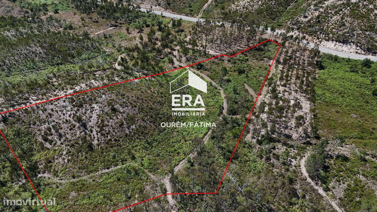 Terreno Florestal em Matas, Ourém-8