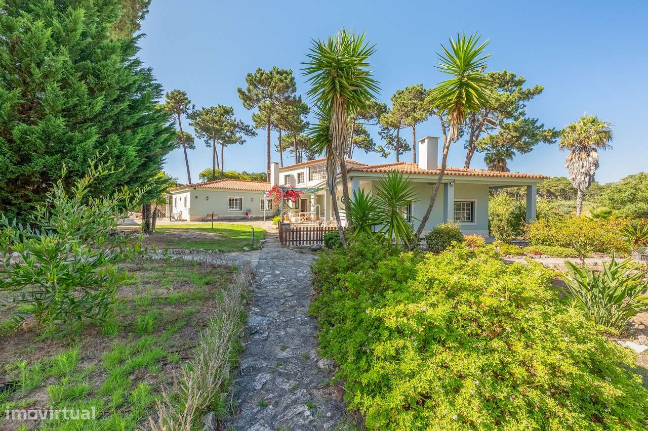 Moradia, 7 636 m², Sintra (Santa Maria e São Miguel, São Martinho e São Pedro de Penaferrim) - Grande imagem: 4/38