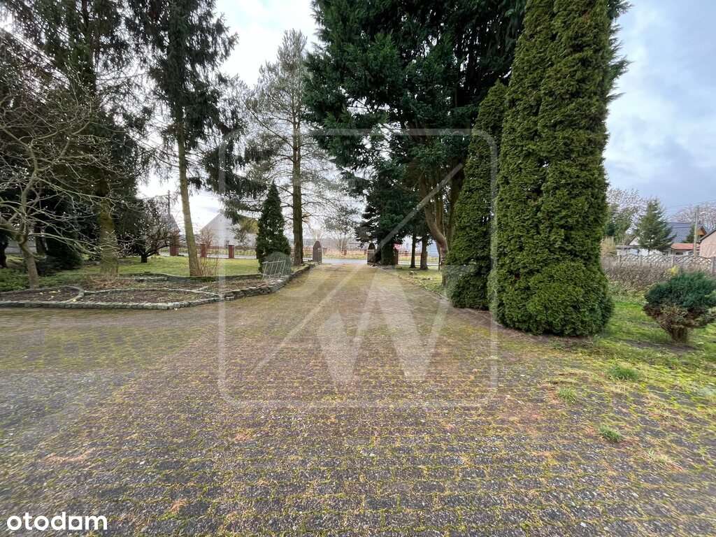 Dom z zabudowaniami na dużej działce – Glewice-13