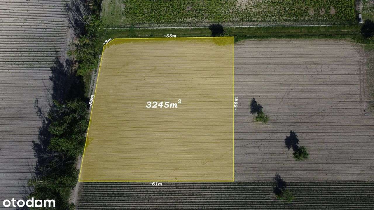3245 m2 swobody życia - cisza , zieleń , potencjał - Pełny obrazek: 5/12