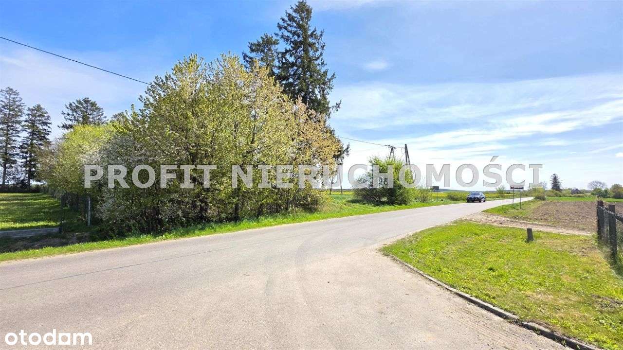 Działka budowlana z dojazdem z drogi asfaltowej - Pełny obrazek: 4/8