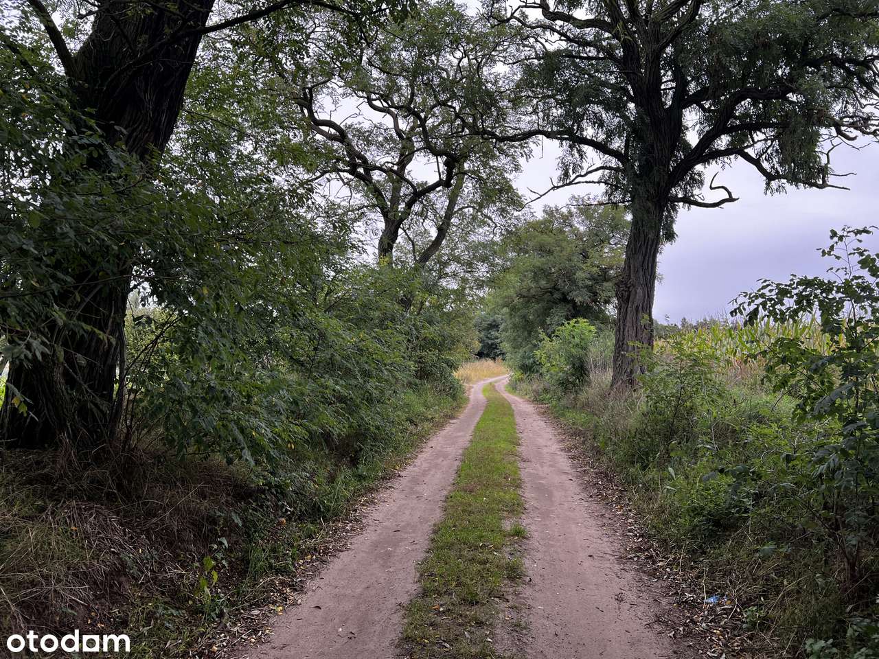1h grunt pod zabudowę rezydencjonalną Wielkopolski Park Narodowy-9